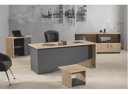 Ufficio completo Mobili per ufficio Scrivania Ufficio Tavolo da ufficio Set 4 pezzi Legno Grigio